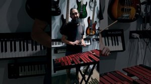 Музыкальная зарядка DKMUSICFAMILY (XI выпуск 16.10.25)