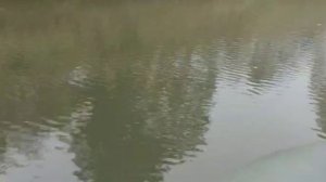 Лодочный мотор 8 л.с. 4-тактный.