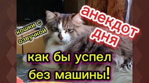 Анекдот дня.