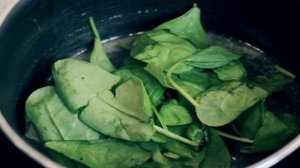 Рулетики с грибами и сыром