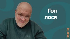 Гон лося. Валерий Кузенков о сроках гона.