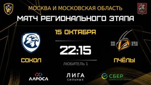 ОБЗОР СОКОЛ - ПЧЁЛЫ / 15.10.25 / ОХЛ МОСКВА / ДИВИЗИОН ЛЮБИТЕЛЬ 1