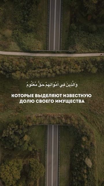 Аль-Мааридж
аяты: 19-28
чтец: Арби аш-Шишани смотреть онлайн