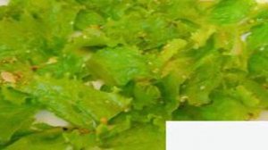 Салат из кальмаров, яиц и огурца