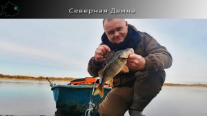 столько бонусов и с берега, бомбическая рыбалка!