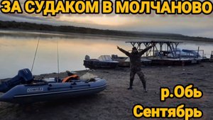 МЕЧТА СБЫЛАСЬ!!! РЫБАЛКА НА ОБИ. ЗА СУДАКОМ В МОЛЧАНОВО. SAVAGE GEAR MPP2 20-60.
