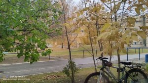 16-10-2025 Техосмотр синичками.. первая серия
