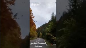 "Дорога." К дню автомобилиста.
Автор Евгений Шабаев