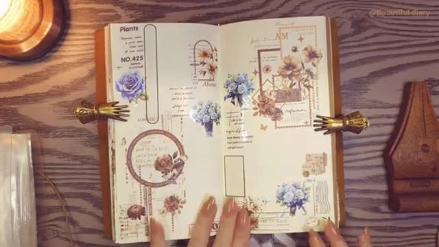 ASMR Collage, Красота в деталях