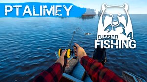 Тур на море. Мой первый раз🐟Русская рыбалка 4🐬Russian Fishing 4