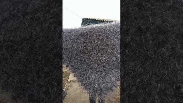 1000217546.mp4Утепляемся зима не за горами.т.89020931602 смотреть онлайн