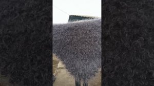 1000217546.mp4Утепляемся зима не за горами.т.89020931602