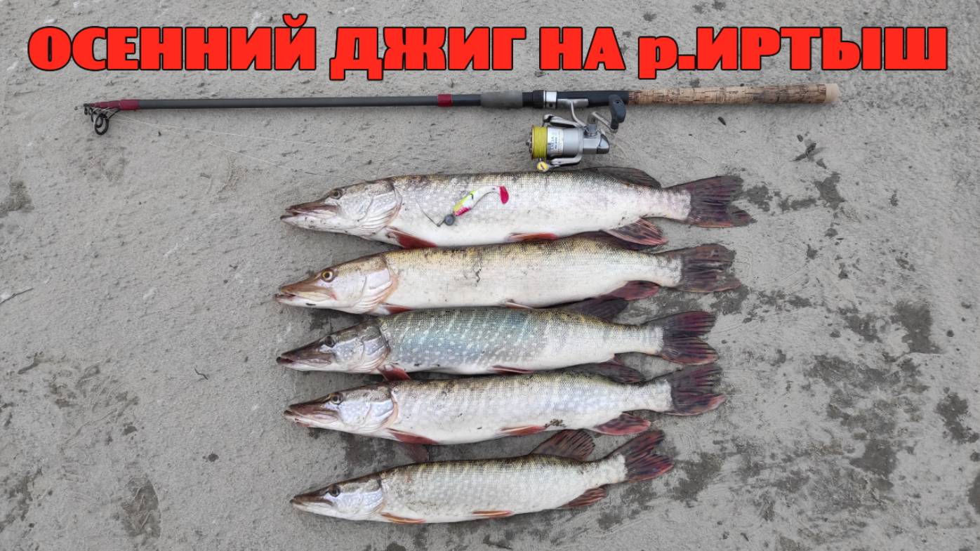 Осенний ДЖИГ.