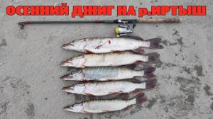 Осенний ДЖИГ.