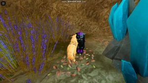 Сериал "Судьба" 1 сезон 15 серия "Церемония"