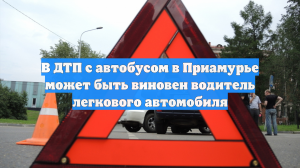 В ДТП с автобусом в Приамурье может быть виновен водитель легкового автомобиля