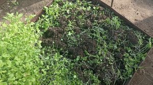 Я полюбила осень! Сезон дождей! Теплица готова!