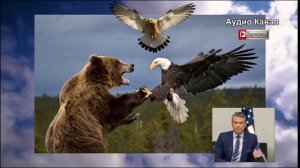 «Мир с Украиной или война с США»: Хегсет пригрозил сделать с Россией «то, что может только Америка»