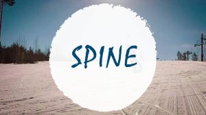 Спайн