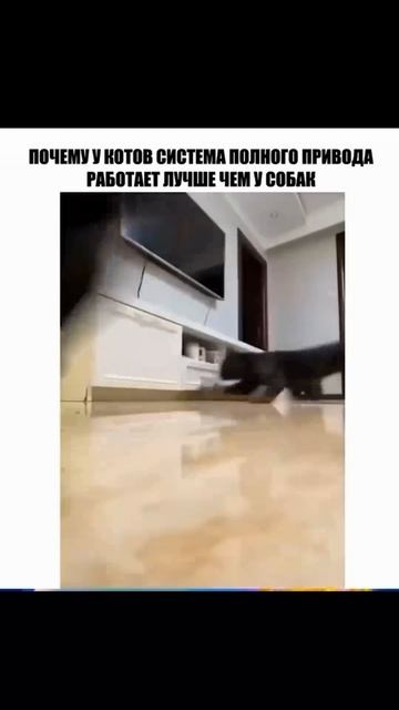 Подборка приколов смотреть онлайн