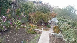 Генеральная уборка сада: готовим участок к зиме. Обрезка цветов🌿