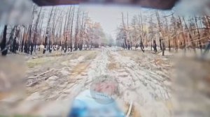 Рыскаем по лесу
