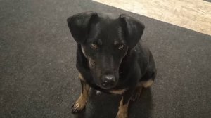 Самые красивые глаза.