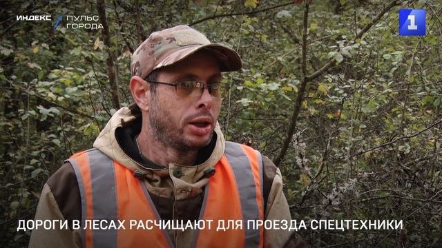 Дороги в лесах расчищают для проезда спецтехники