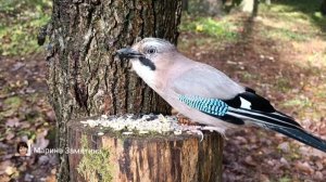 Экотерапия 44 серия.