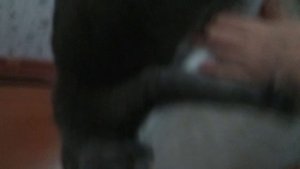 AVIA seils🤨🤨🤨