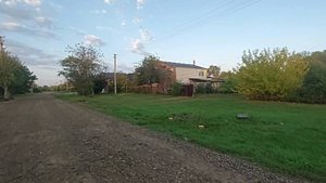 Кто-то охотится на кур. Снова баня. Скоро похолодание.