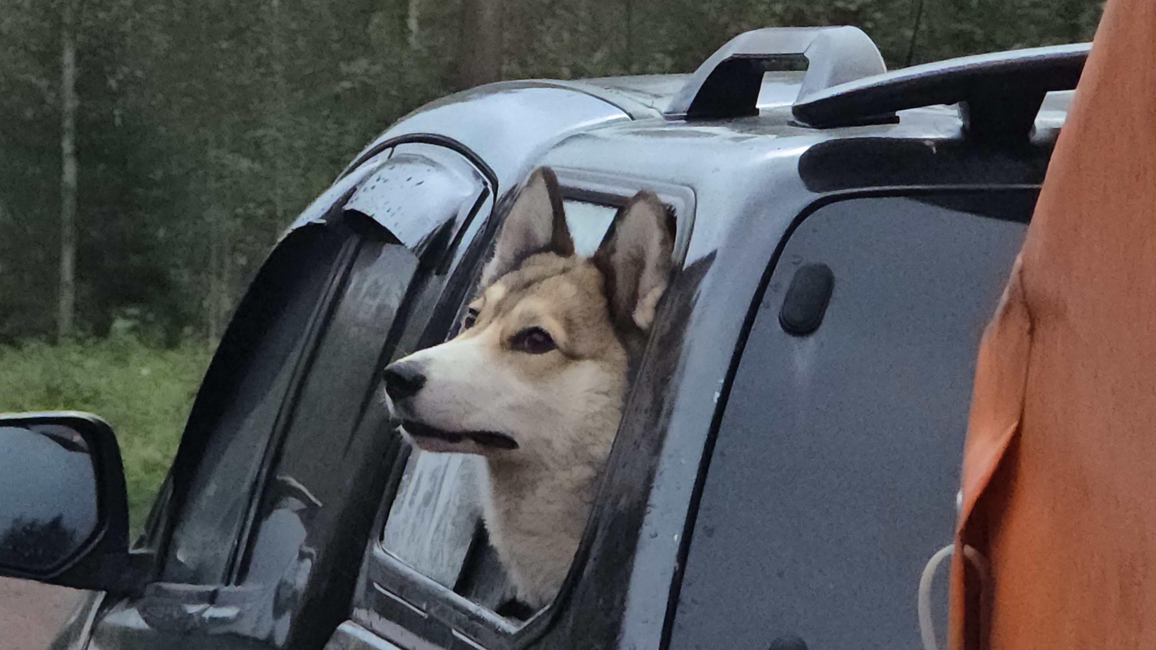 Тяжёлая дорога домой