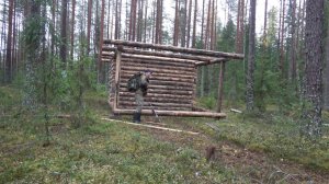 Начинаем таёжную стройку. Погода подводит. Гусь пошёл.
