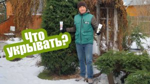 УКРОЙТЕ ЭТИ РАСТЕНИЯ НА ЗИМУ!