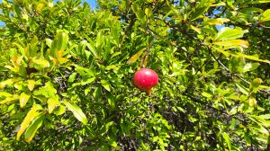 ХРАМИ 2025 или 12 лет спустя