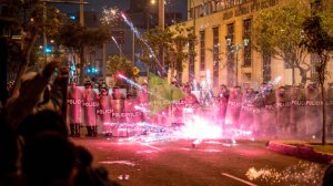 Митингующие поджигали урны, забрасывали полицейских бутылками с коктейлями Молотова и камнями в Перу