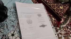 Ирина Волк: В Санкт-Петербурге окончено расследование организации незаконной миграции