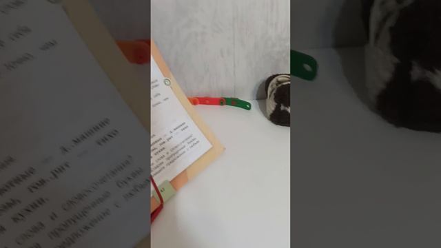 как я делаю домашнее задание