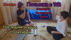 🏡 Жизнь в деревне 15 октября 2025