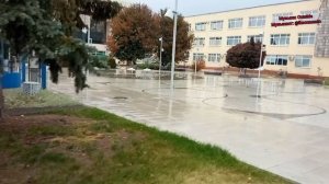 Площадь культур