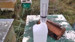 #15. 12.10.2025 Обработка пчел от варроатоза препаратом "Талпан"