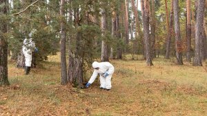 Диких животных в Рязанской области вакцинируют от бешенства