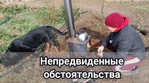 НАВАЛИЛО ЗЕМЛИ, ОТКЛЮЧИЛИ ГАЗ, ТОПИМ ПЕЧЬ, ПОСАДИЛИ КЛУБНИКУ.