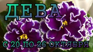 ДЕВА таро прогноз на неделю с 20 по 26 ОКТЯБРЯ 2025 года.