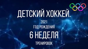 Детский хоккей среди детей 2021 года рождения. Тренировка.6 неделя.
