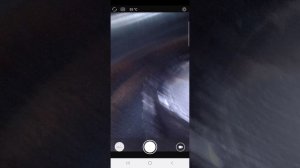 1000507447.mp4