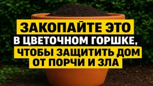 Закопайте это в цветочный горшок - и враг никогда больше не переступит ваш порог
