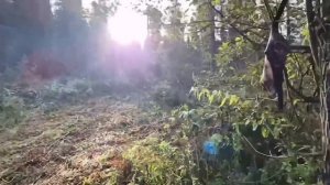 программа Судный день от 16.10.25