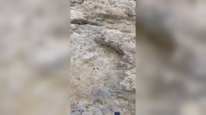Мазут на набережной Андрея Первозванного в Севастополе 15 октября 2025