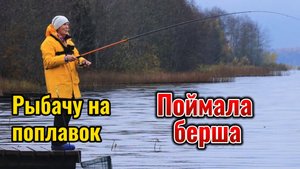 Отвела душу на рыбалке на поплавочную удочку. Попался крупный подлещик и даже берш.